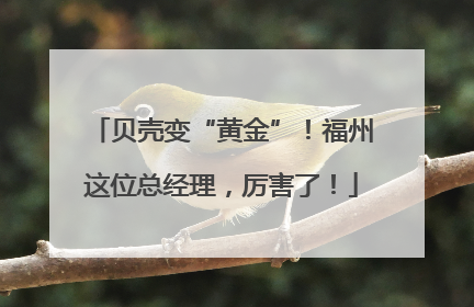 贝壳变“黄金”！福州这位总经理，厉害了！