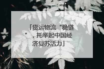 货运物流“稳链”，托举起中国经济复苏活力