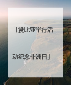 赞比亚举行活动纪念非洲日