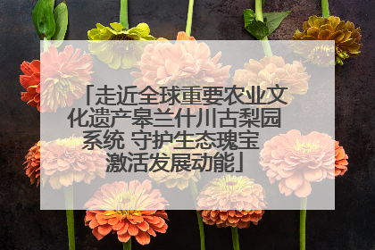走近全球重要农业文化遗产皋兰什川古梨园系统 守护生态瑰宝 激活发展动能