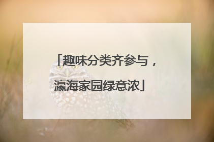 趣味分类齐参与，瀛海家园绿意浓