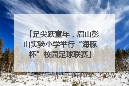 足尖跃童年，眉山彭山实验小学举行“海豚杯”校园足球联赛