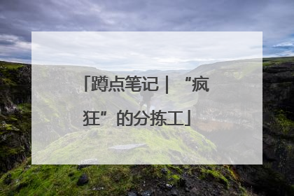 蹲点笔记｜“疯狂”的分拣工