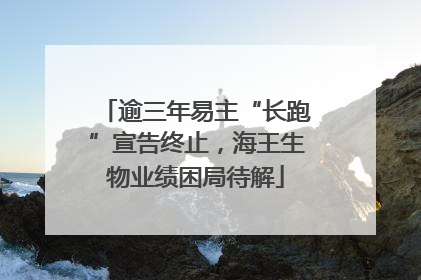 逾三年易主“长跑”宣告终止，海王生物业绩困局待解
