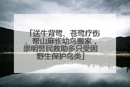 送牛背鹭、苍鹭疗伤、帮山麻雀幼鸟搬家，崇明警民救助多只受困野生保护鸟类