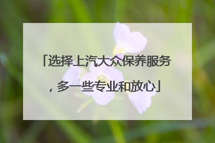 选择上汽大众保养服务，多一些专业和放心