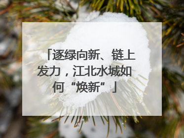 逐绿向新、链上发力，江北水城如何“焕新”