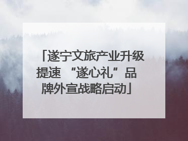 遂宁文旅产业升级提速 “遂心礼”品牌外宣战略启动