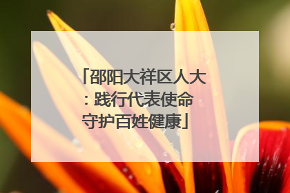 邵阳大祥区人大：践行代表使命 守护百姓健康