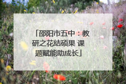 邵阳市五中：教研之花结硕果 课题赋能助成长