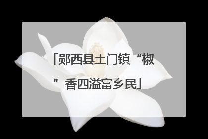 郧西县土门镇“椒”香四溢富乡民