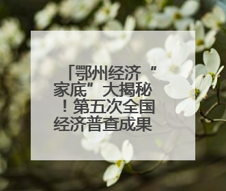 鄂州经济“家底”大揭秘！第五次全国经济普查成果出炉