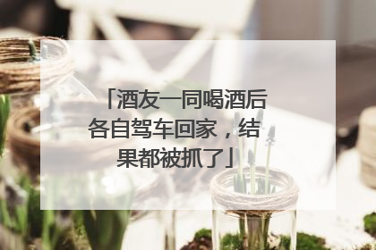 酒友一同喝酒后各自驾车回家，结果都被抓了