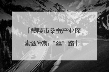 醴陵市桑蚕产业探索致富新“丝”路