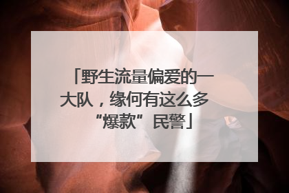 野生流量偏爱的一大队，缘何有这么多“爆款”民警