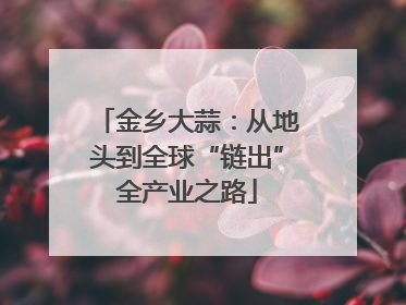 金乡大蒜：从地头到全球“链出”全产业之路
