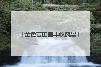 金色麦田里丰收风景