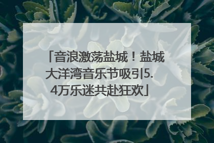 音浪激荡盐城！盐城大洋湾音乐节吸引5.4万乐迷共赴狂欢