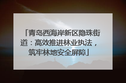 青岛西海岸新区隐珠街道：高效推进林业执法，筑牢林地安全屏障