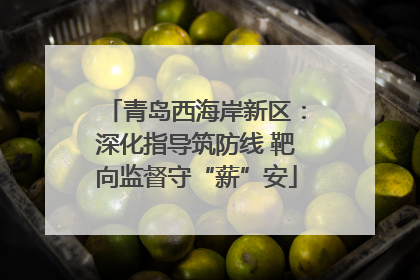 青岛西海岸新区：深化指导筑防线 靶向监督守“薪”安