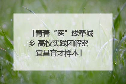 青春“医”线牵城乡 高校实践团解密宜昌育才样本