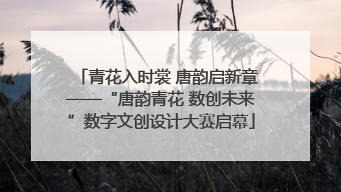 青花入时裳 唐韵启新章——“唐韵青花 数创未来”数字文创设计大赛启幕