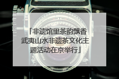 非遗馆里茶韵飘香 武夷山水非遗茶文化主题活动在京举行
