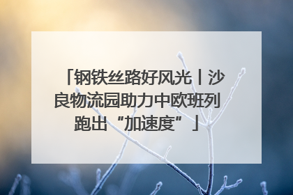 钢铁丝路好风光丨沙良物流园助力中欧班列跑出“加速度”