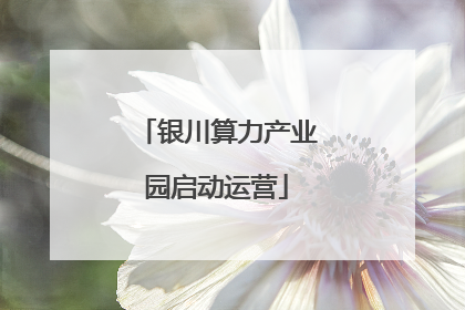 银川算力产业园启动运营