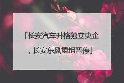 长安汽车升格独立央企，长安东风重组暂停