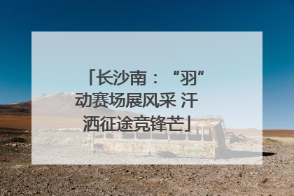 长沙南：“羽”动赛场展风采 汗洒征途竞锋芒
