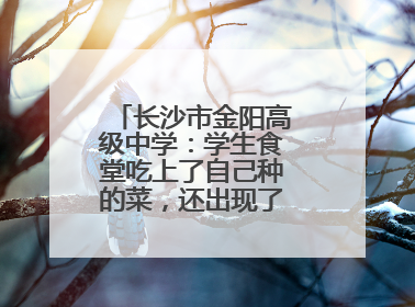 长沙市金阳高级中学：学生食堂吃上了自己种的菜，还出现了一批劳动能手