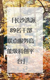长沙选派89名干部联点服务高能级科创平台