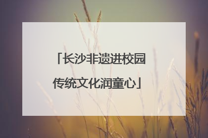 长沙非遗进校园 传统文化润童心