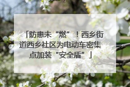 防患未“燃”！西乡街道西乡社区为电动车密集点加装“安全盾”