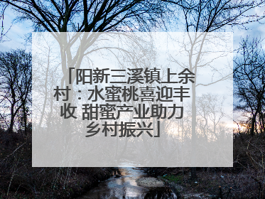 阳新三溪镇上余村：水蜜桃喜迎丰收 甜蜜产业助力乡村振兴