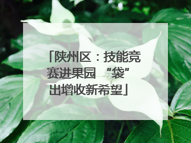陕州区：技能竞赛进果园 “袋”出增收新希望
