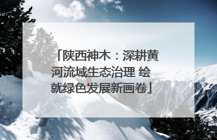 陕西神木：深耕黄河流域生态治理 绘就绿色发展新画卷