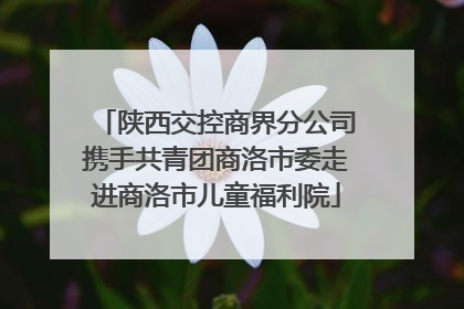 陕西交控商界分公司携手共青团商洛市委走进商洛市儿童福利院