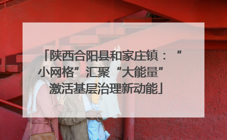 陕西合阳县和家庄镇：“小网格”汇聚“大能量” 激活基层治理新动能