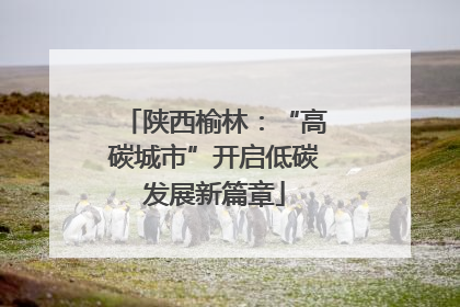 陕西榆林：“高碳城市”开启低碳发展新篇章