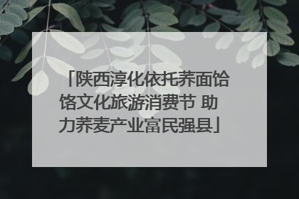 陕西淳化依托荞面饸饹文化旅游消费节 助力荞麦产业富民强县