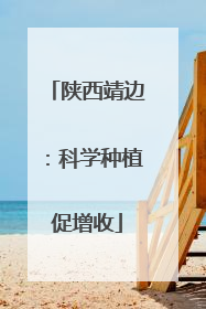 陕西靖边：科学种植促增收