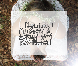 集石行乐！首届海淀石刻艺术周在紫竹院公园开幕