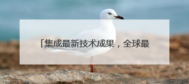 集成最新技术成果，全球最大智能铺排船亮相上交会