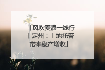 风吹麦浪一线行丨定州：土地托管带来稳产增收