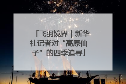 飞羽镜界｜新华社记者对“高原仙子”的四季追寻