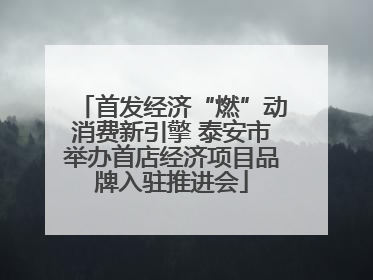 首发经济“燃”动消费新引擎 泰安市举办首店经济项目品牌入驻推进会