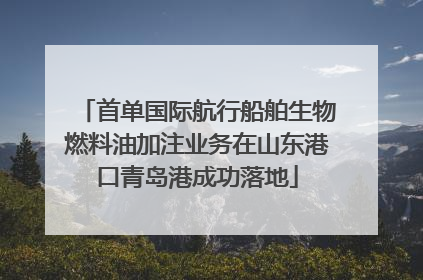 首单国际航行船舶生物燃料油加注业务在山东港口青岛港成功落地
