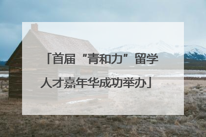 首届“青和力”留学人才嘉年华成功举办